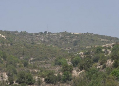 Koilani, Limassol Agricultural Field For Sale | WW24729