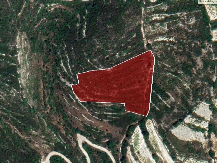 Field - Koilani, Limassol