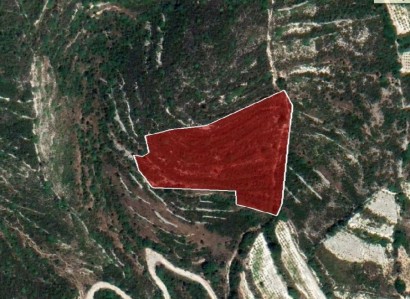 Koilani, Limassol Agricultural Field For Sale | WW24729