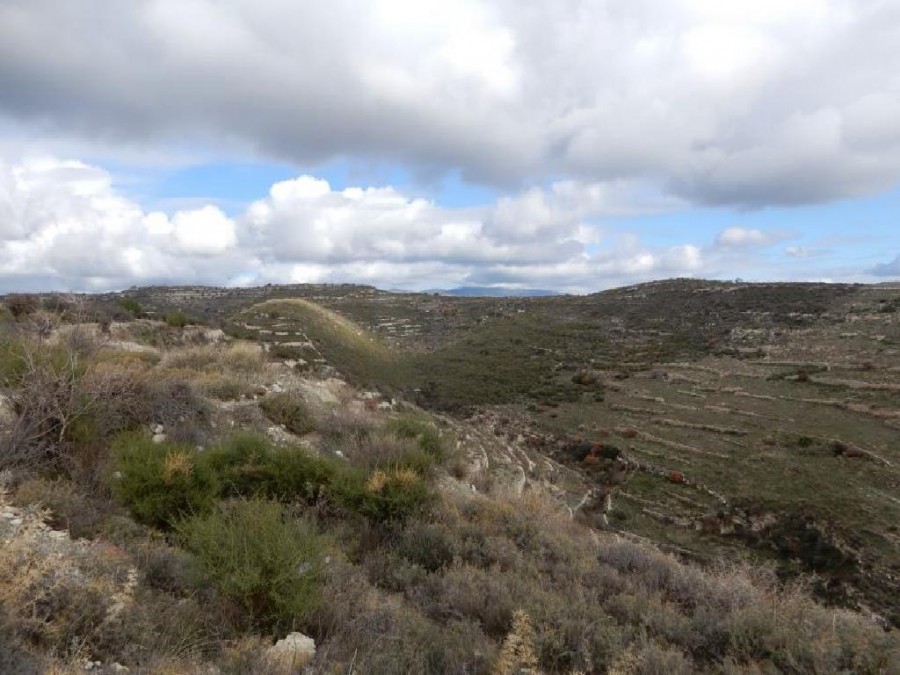 Vouni, Limassol Agricultural Field For Sale | WW24779
