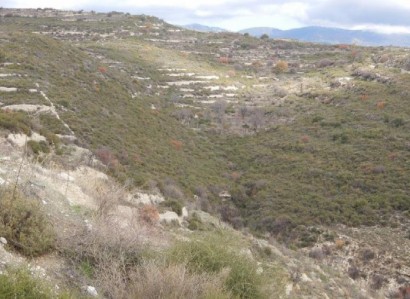 Vouni, Limassol Agricultural Field For Sale | WW24779