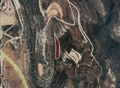Vouni, Limassol Agricultural Field For Sale | WW24779