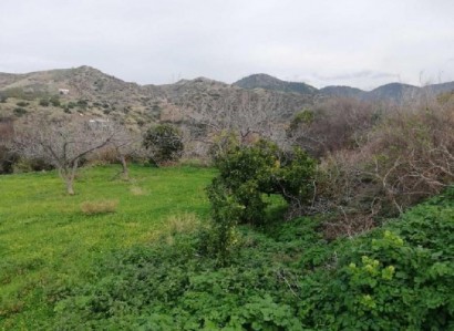 Pomos, Paphos Residential Field For Sale | WW24811