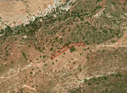 Peyia, Paphos Agricultural Field For Sale | WW24818