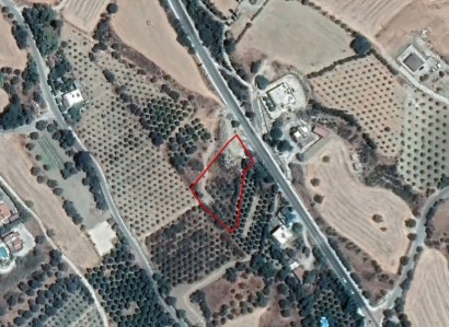 Goudi, Paphos Agricultural Field For Sale | WW24835
