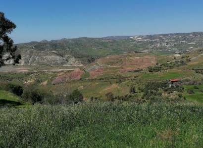 Choletria, Paphos Agricultural Field For Sale | WW24856