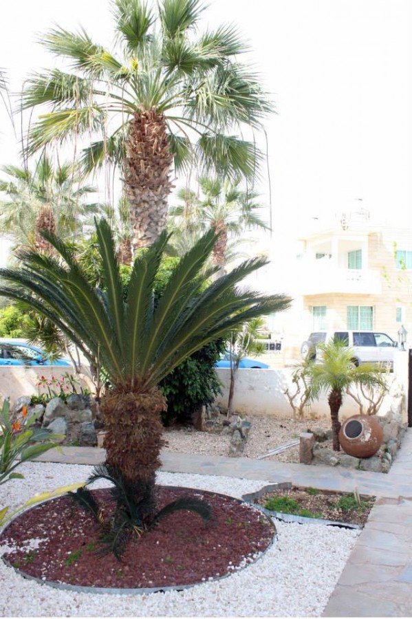 Detached Villa For Sale  in  Acheleia