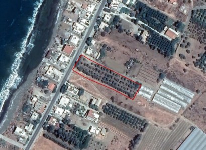 Agia Marina Chrysochous Agricultural Field | WW24950