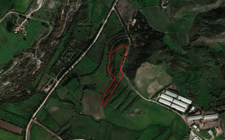 Agia Varvara, Paphos Residential Field For Sale | WW24952