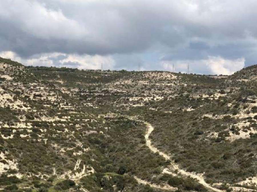 Sotira, Limassol Agricultural Field For Sale | WW25020