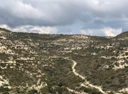 Sotira, Limassol Agricultural Field For Sale | WW25020