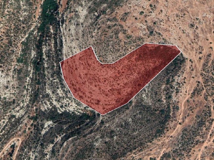 Field - Sotira, Limassol