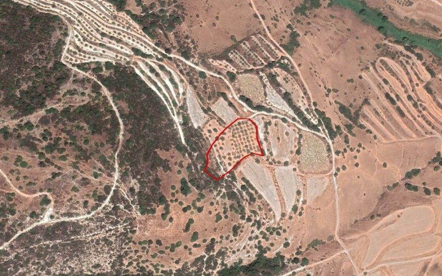 Kallepeia, Paphos Agricultural Field For Sale | WW25041