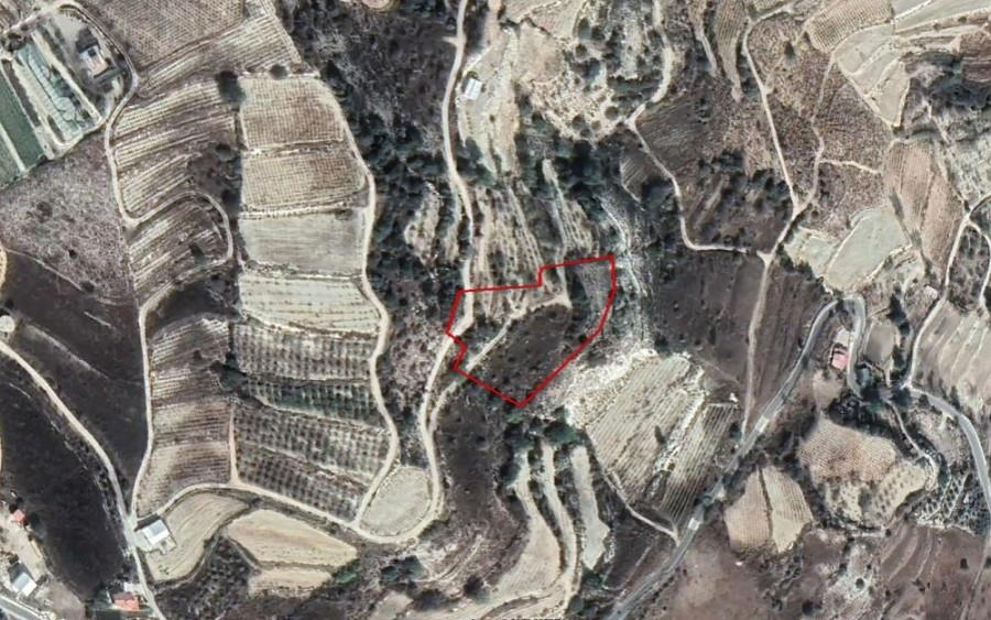 Koilineia, Paphos Agricultural Field For Sale | WW25046