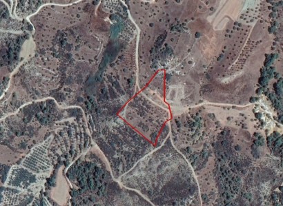 Kynousa, Paphos Agricultural Field For Sale | WW25047