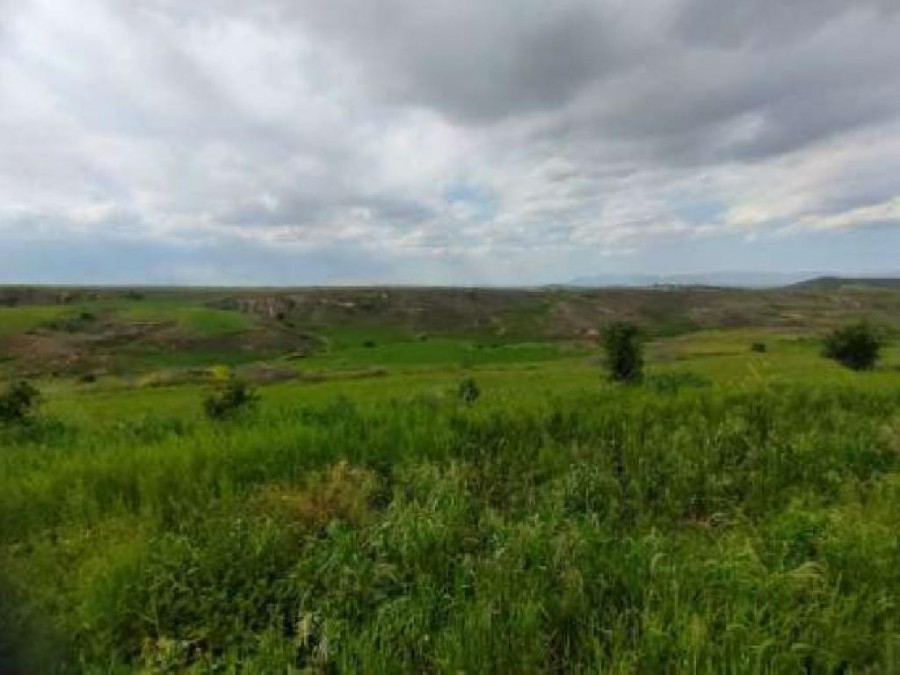 Psimolofou, Nicosia Agricultural Field For Sale | WW25222