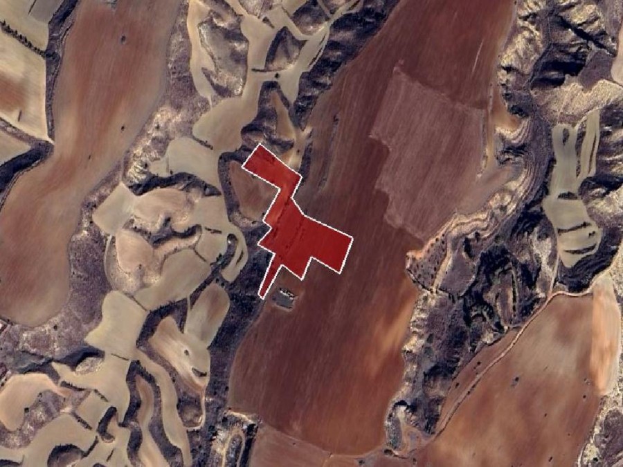 Field - Psimolofou, Nicosia
