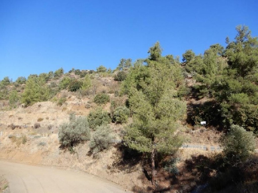 Kalo Chorio, Limassol Agricultural Field For Sale | WW25234