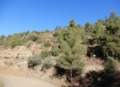 Kalo Chorio, Limassol Agricultural Field For Sale | WW25234