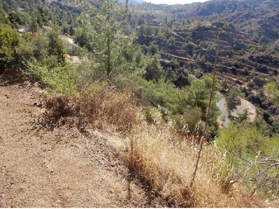 Field - Kalo Chorio, Limassol