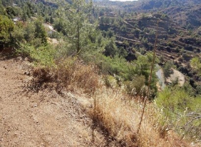 Kalo Chorio, Limassol Agricultural Field For Sale | WW25234