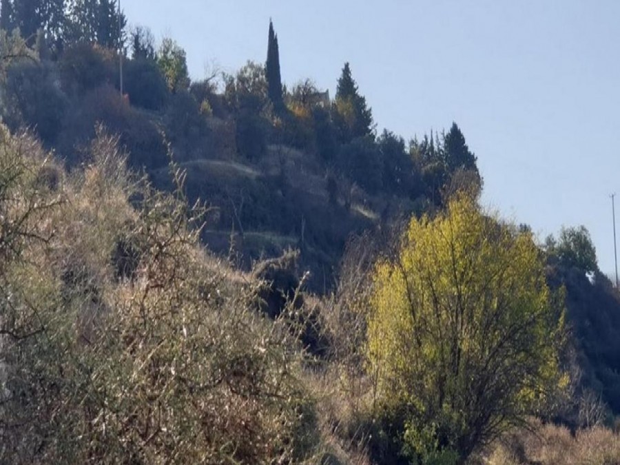 Ayios Therapon Residential Field For Sale | WW25237