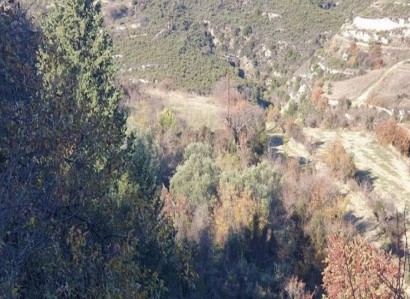 Ayios Therapon Residential Field For Sale | WW25237