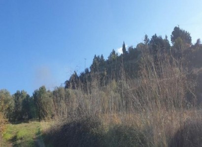 Ayios Therapon Residential Field For Sale | WW25237