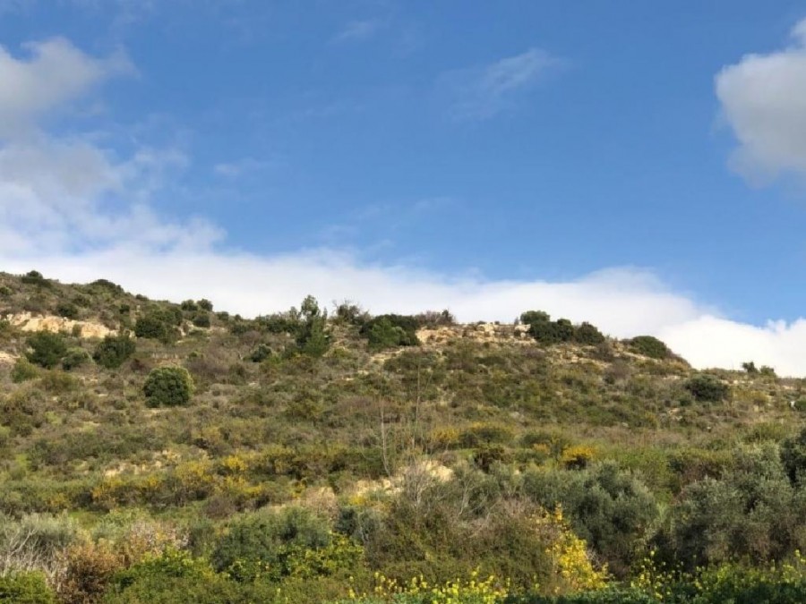 Peristerona, Paphos Agricultural Field For Sale | WW25250