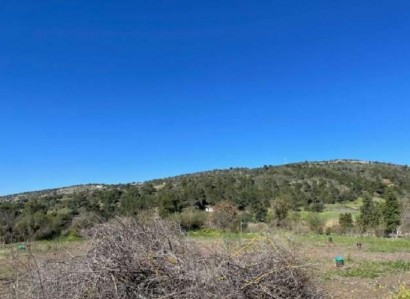 Peristerona, Paphos Agricultural Field For Sale | WW25250