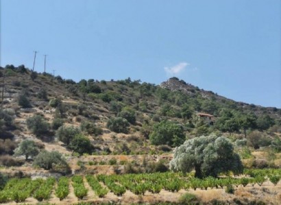 Ayios Mamas, Limassol Residential Field For Sale | WW25262