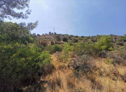 Ayios Mamas, Limassol Residential Field For Sale | WW25262