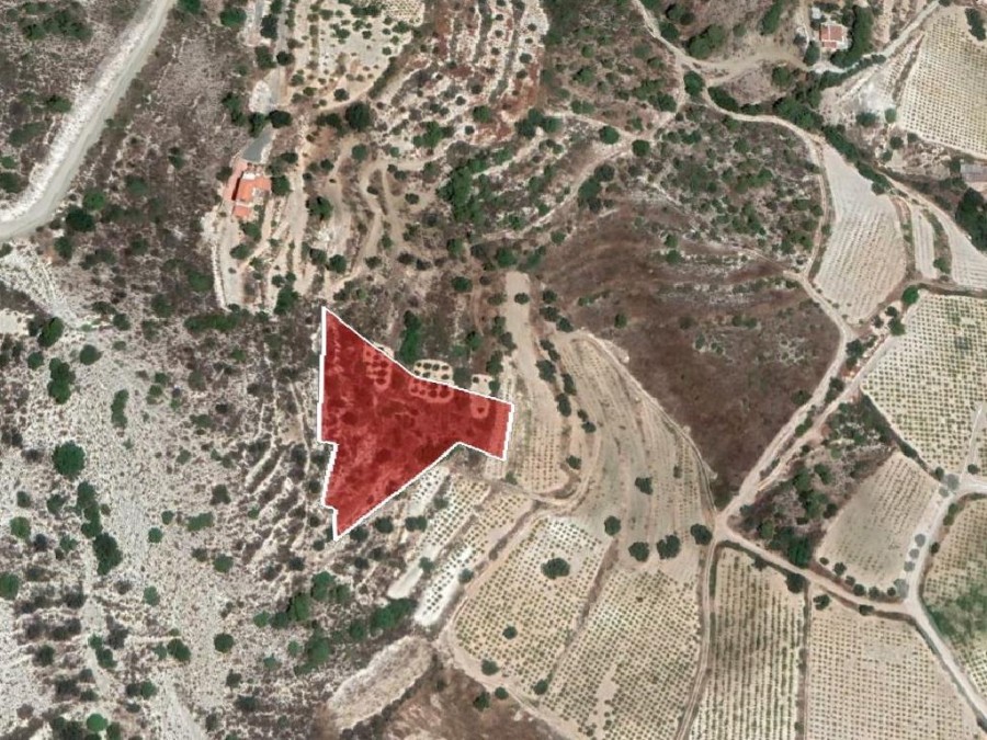 Field - Agios Mamas, Limassol