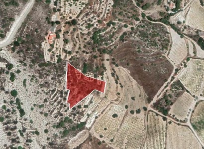 Ayios Mamas, Limassol Residential Field For Sale | WW25262