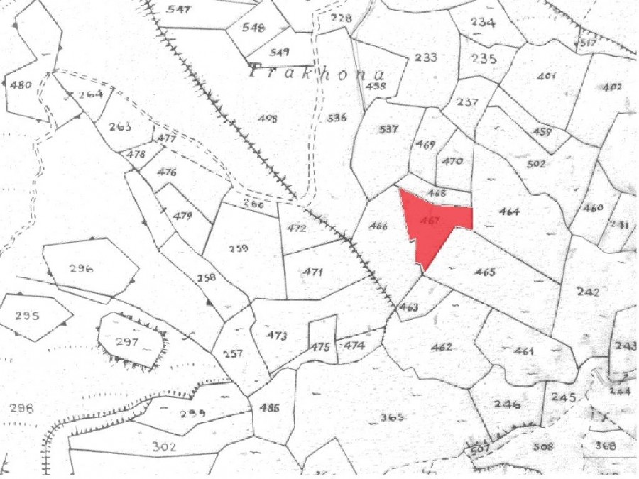 Field - Agios Mamas, Limassol