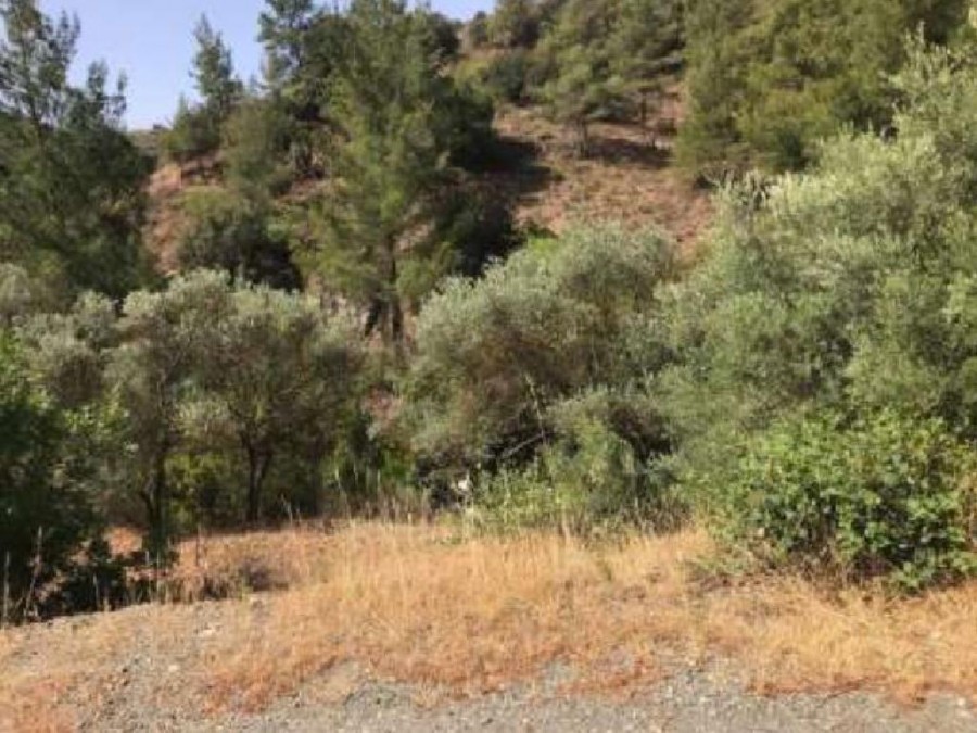 Kalo Chorio, Limassol Agricultural Field For Sale | WW25276