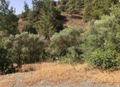 Kalo Chorio, Limassol Agricultural Field For Sale | WW25276