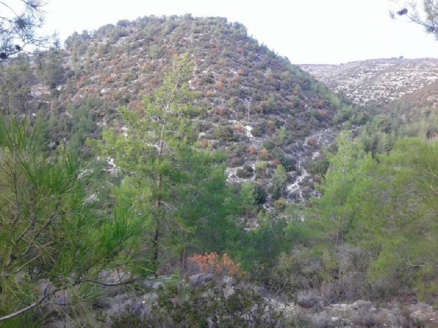 Ayios Therapon Agricultural Field For Sale | WW25279