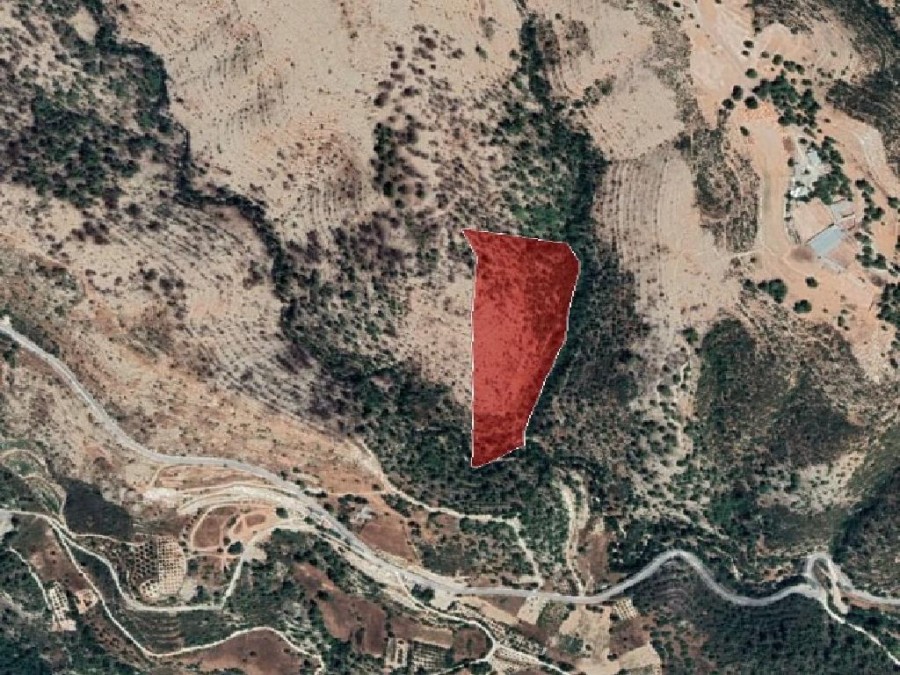 Field - Agios Therapon, Limassol