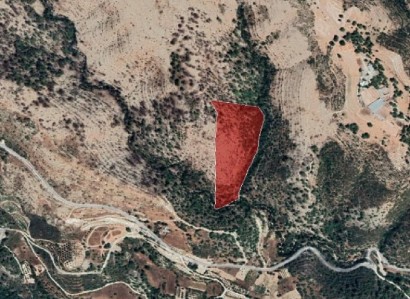 Ayios Therapon Agricultural Field For Sale | WW25279