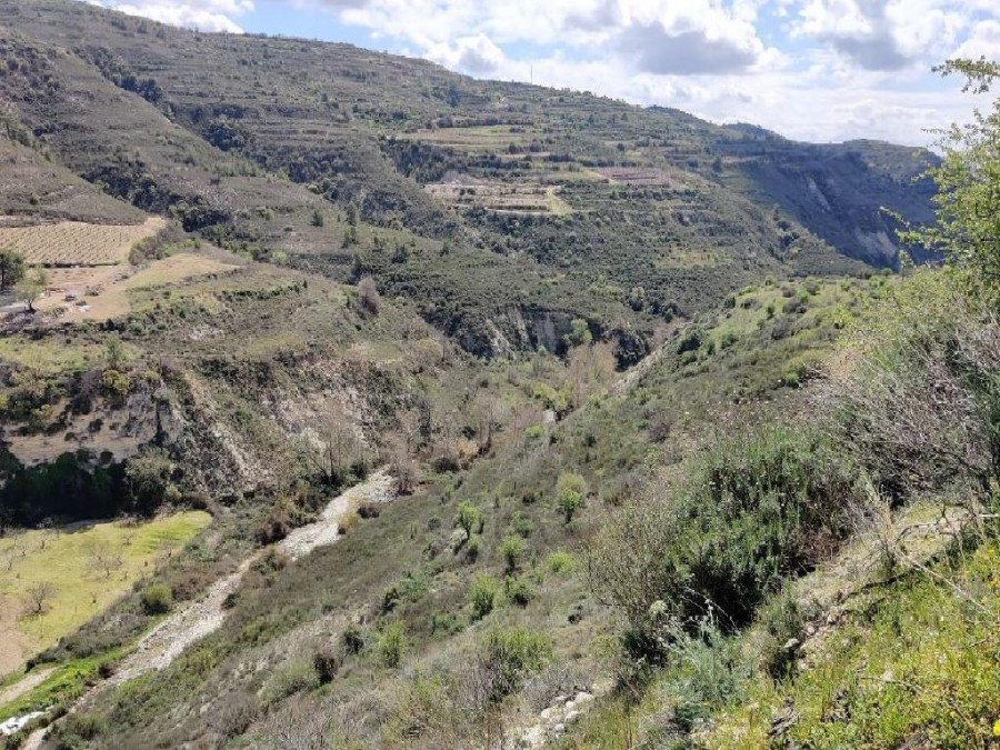 Koilani, Limassol Agricultural Field For Sale | WW25281