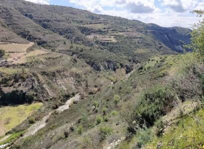 Koilani, Limassol Agricultural Field For Sale | WW25281