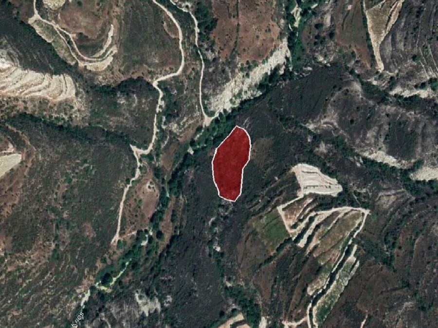 Field –Koilani, Limassol