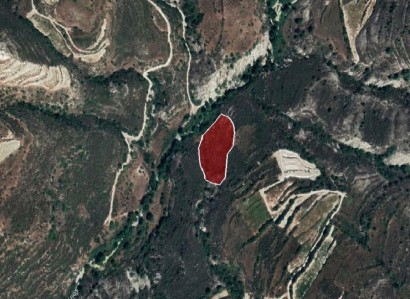 Koilani, Limassol Agricultural Field For Sale | WW25281
