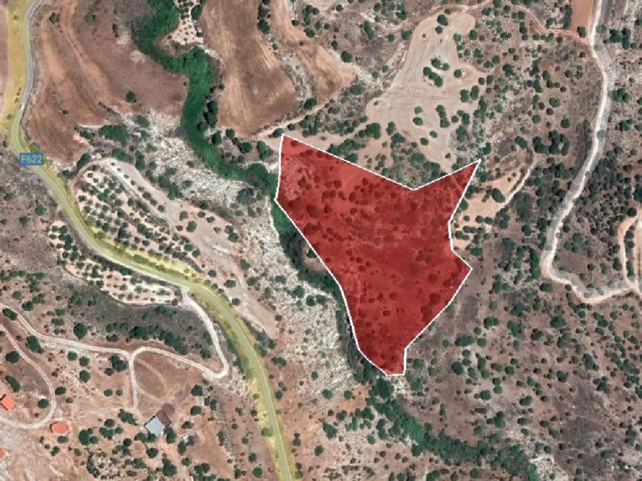 Field - Nata, Paphos