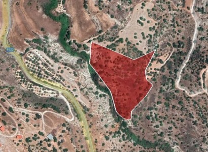 Nata, Paphos Agricultural Field For Sale | WW25299
