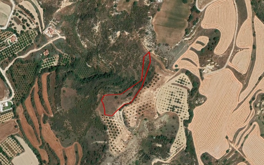 Goudi, Paphos Agricultural Field For Sale | WW25321