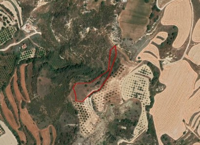 Goudi, Paphos Agricultural Field For Sale | WW25321