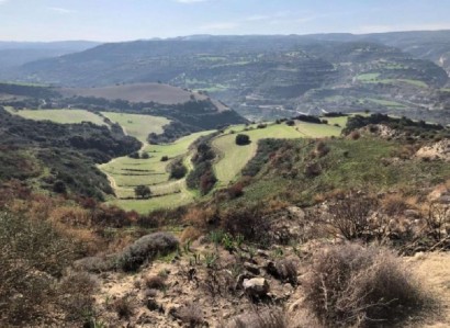 Skoulli, Paphos Agricultural Field For Sale | WW25352