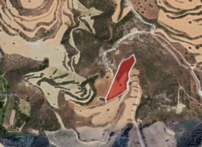 Skoulli, Paphos Agricultural Field For Sale | WW25352